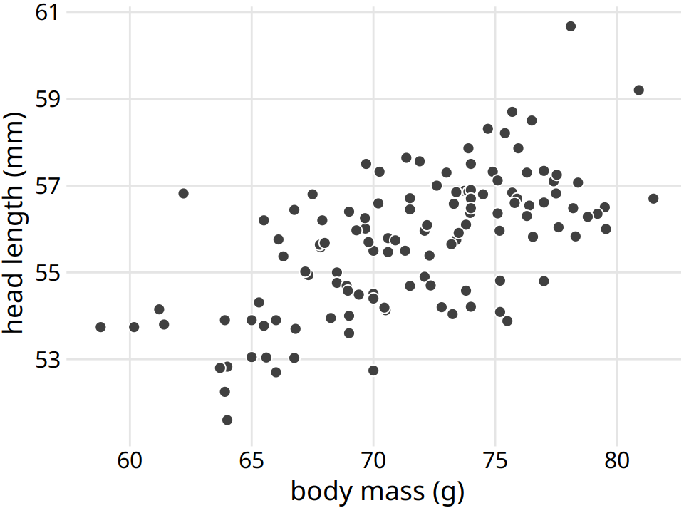 Head length (measured from the tip of the bill to the back of the head, in mm) versus body mass (in gram), for 123 blue jays. Each dot corresponds to one bird. There is a moderate tendency for heavier birds to have longer heads. Data source: Keith Tarvin, Oberlin College