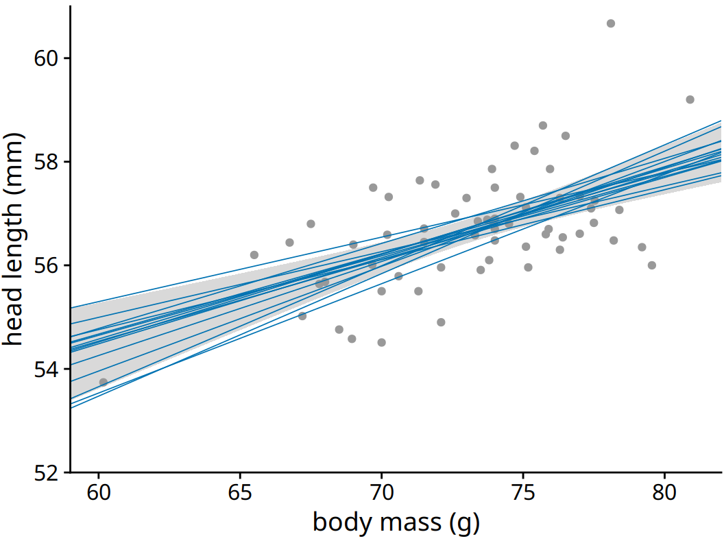 Head length versus body mass for male blue jays. In contrast to Figure 16.15, the straight blue lines now represent equally likely alternative fits randomly drawn from the posterior distribution. Data source: Keith Tarvin, Oberlin College