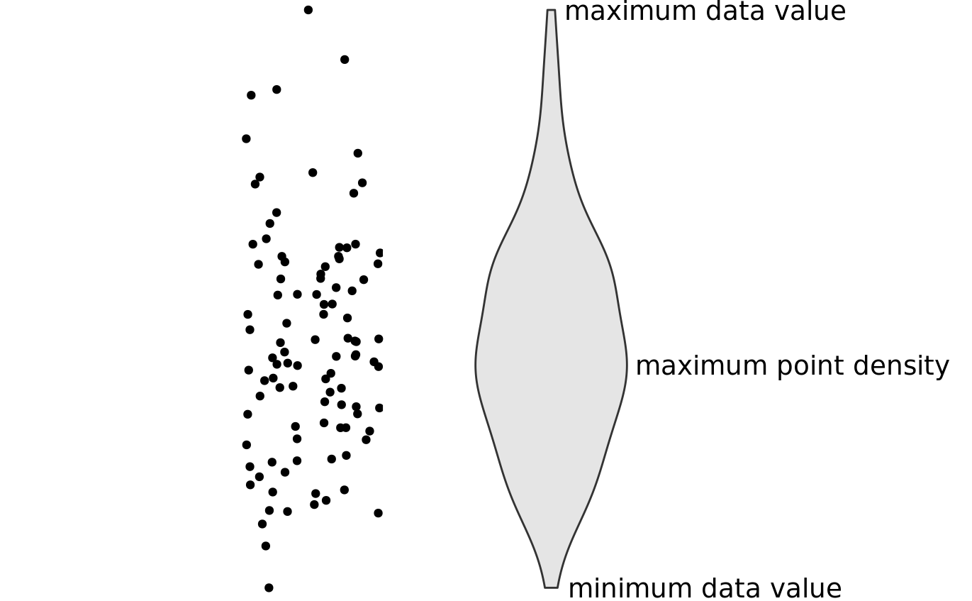 Anatomy of a violin plot. Shown are a cloud of points (left) and the corresponding violin plot (right). Only the y values of the points are visualized in the violin plot. The width of the violin at a given y value represents the point density at that y value. Technically, a violin plot is a density estimate rotated by 90 degrees and then mirrored. Violins are therefore symmetric. Violins begin and end at the minimum and maximum data values, respectively. The thickest part of the violin corresponds to the highest point density in the dataset.