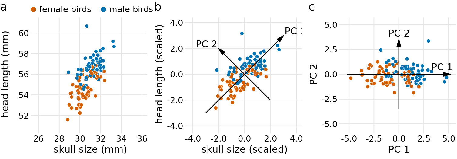 Example principal components (PC) analysis in two dimensions. (a) The original data. As example data, I am using the head-length and skull-size measurements from the blue jays dataset. Female and male birds are distinguished by color, but this distinction has no effect on the PC analysis. (b) As the first step in PCA, we scale the original data values to zero mean and unit variance. We then we define new variables (the principal components, PCs) along the directions of maximum variation in the data. (c) Finally, we project the data into the new coordinates. Mathematically, this projection is equivalent to a rotation of the data points around the origin. In the 2D example shown here, the data points are rotated clockwise by 45 degrees.