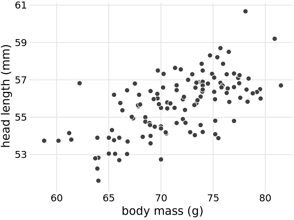 Head length (measured from the tip of the bill to the back of the head, in mm) versus body mass (in gram), for 123 blue jays. Each dot corresponds to one bird. There is a moderate tendency for heavier birds to have longer heads. Data source: Keith Tarvin, Oberlin College