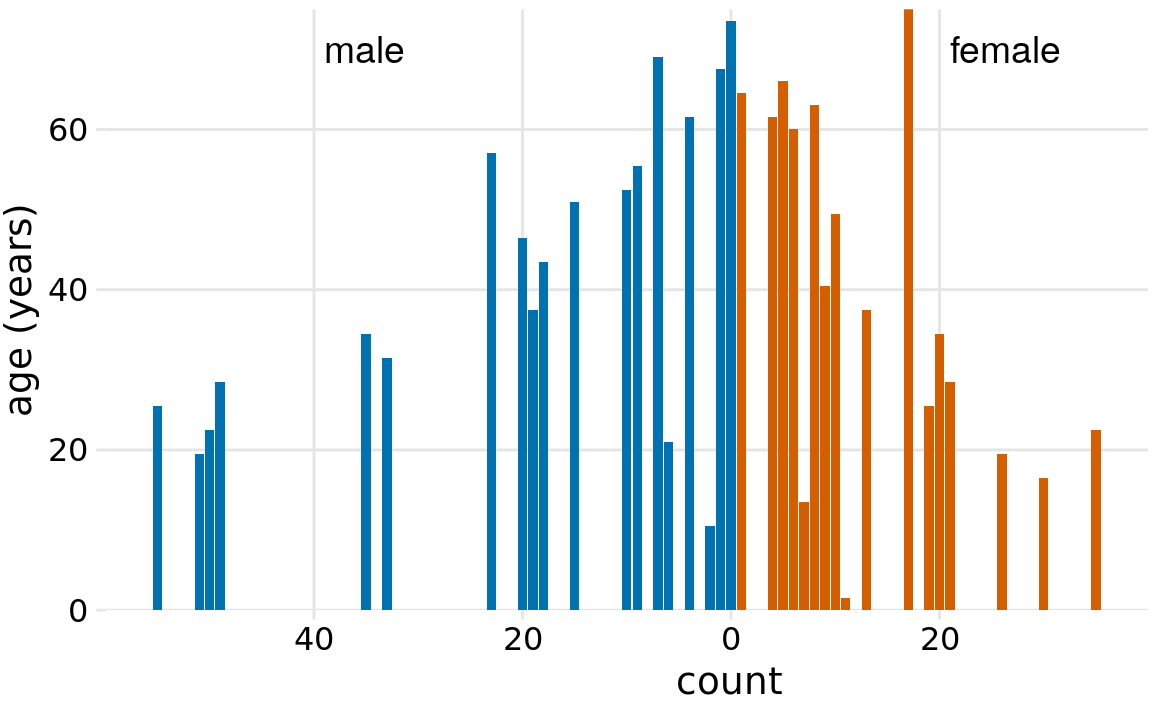 The age distributions of male and female Titanic passengers visualized as an age pyramid.