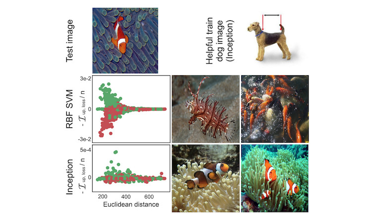 Dog or fish? For the SVM prediction (middle row) images that had similar colors as the test image were the most influential. For the neural network prediction (bottom row) fish in different setting were most influential, but also a dog image (top right). Work by Koh and Liang (2017).