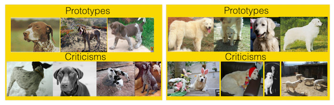 Prototypes and criticisms for two types of dog breeds from the ImageNet dataset.