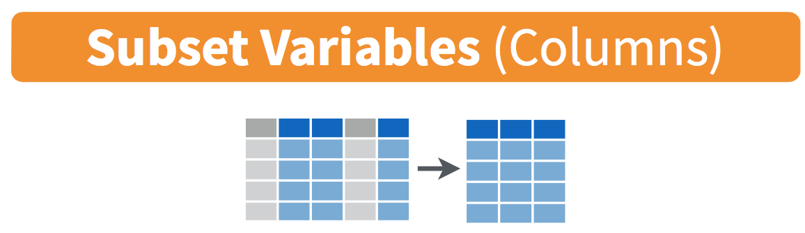 Select diagram from Data Wrangling with dplyr and tidyr cheatsheet